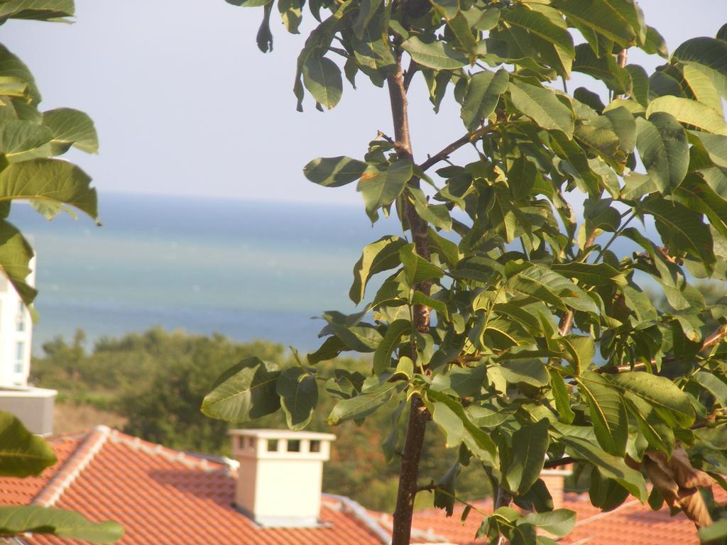 Guest House "Zora - Sarafovo" Burgas Exteriör bild